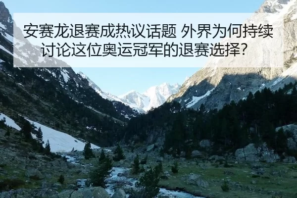 安赛龙退赛成热议话题 外界为何持续讨论这位奥运冠军的退赛选择？